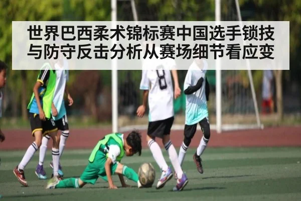 世界巴西柔术锦标赛中国选手锁技与防守反击分析从赛场细节看应变 - kaiyun